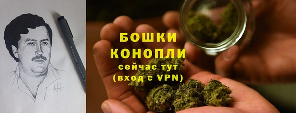дмт Бронницы