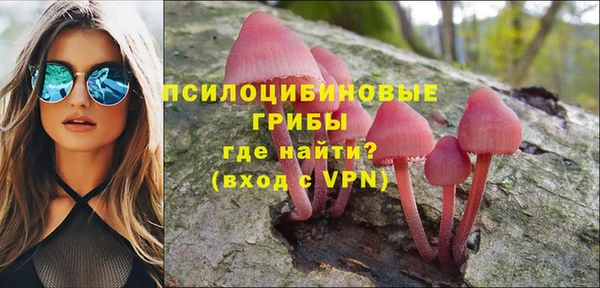 прущая мука Бородино